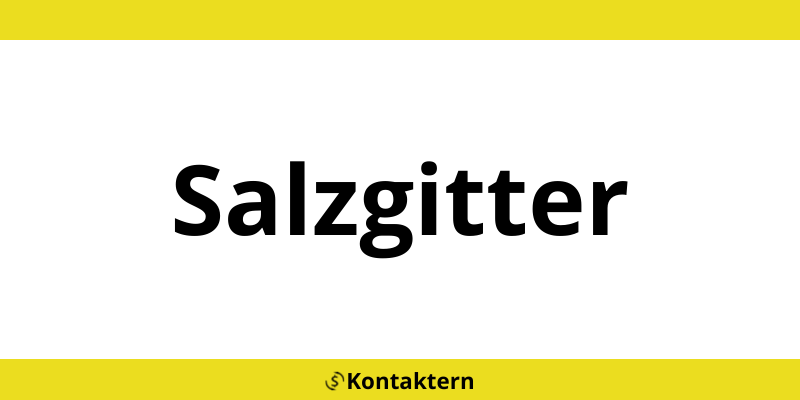 Western Union in Salzgitter HBF